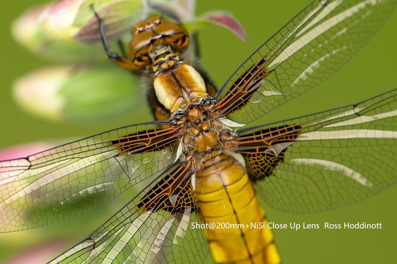 nisi-close-up-nahlinse-77mm-makro-filter-kit-apo image 5