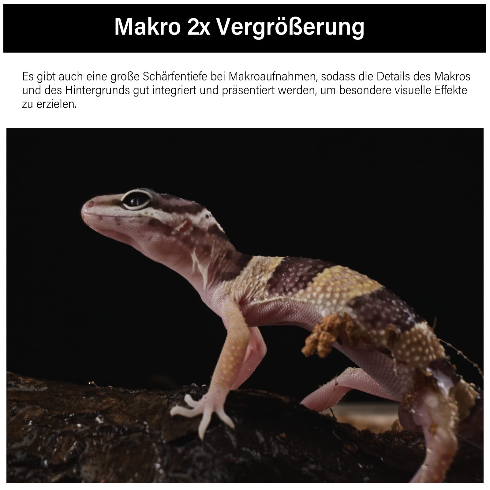 astrhori-28mm-f13-2x-makrosondenobjektiv-sony-e-ringlicht image 4