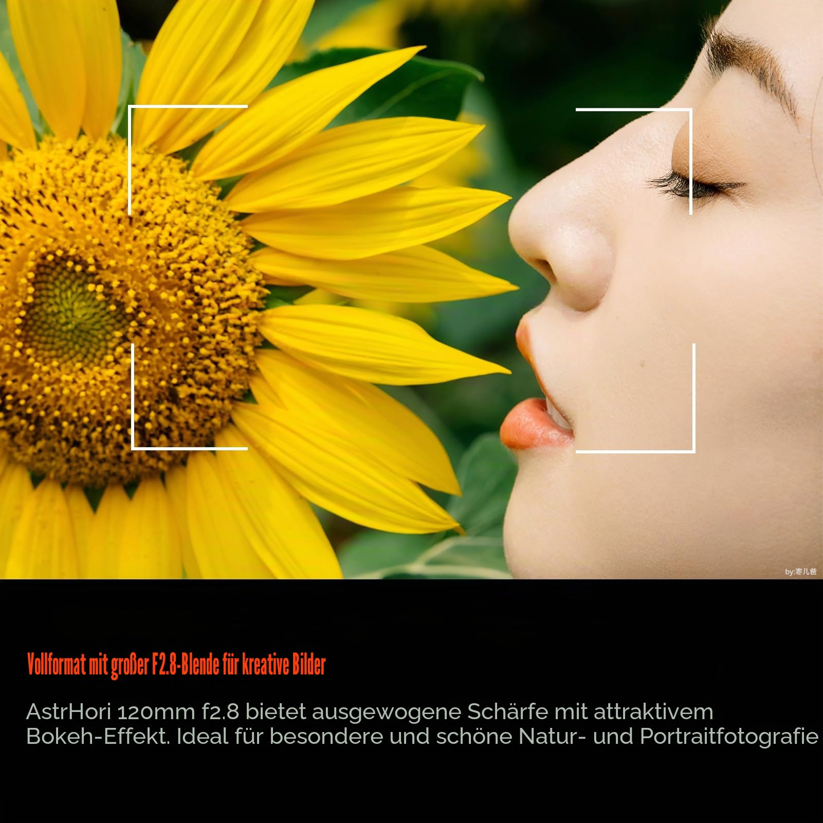 astrhori-120mm-f2-8-2x-makroobjektiv-sony-e-vollformat image 4