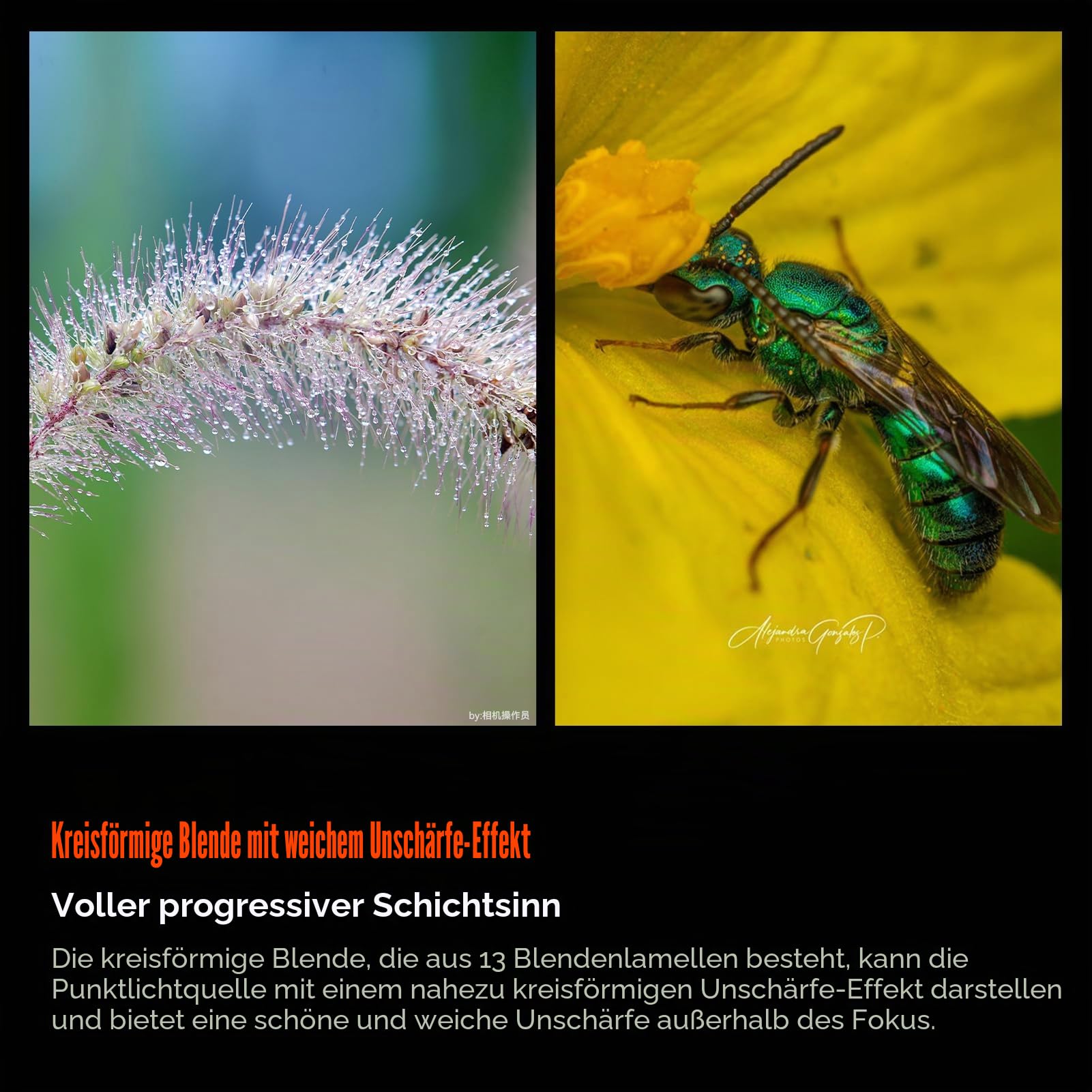 astrhori-120mm-f2-8-2x-makroobjektiv-sony-e-vollformat image 6