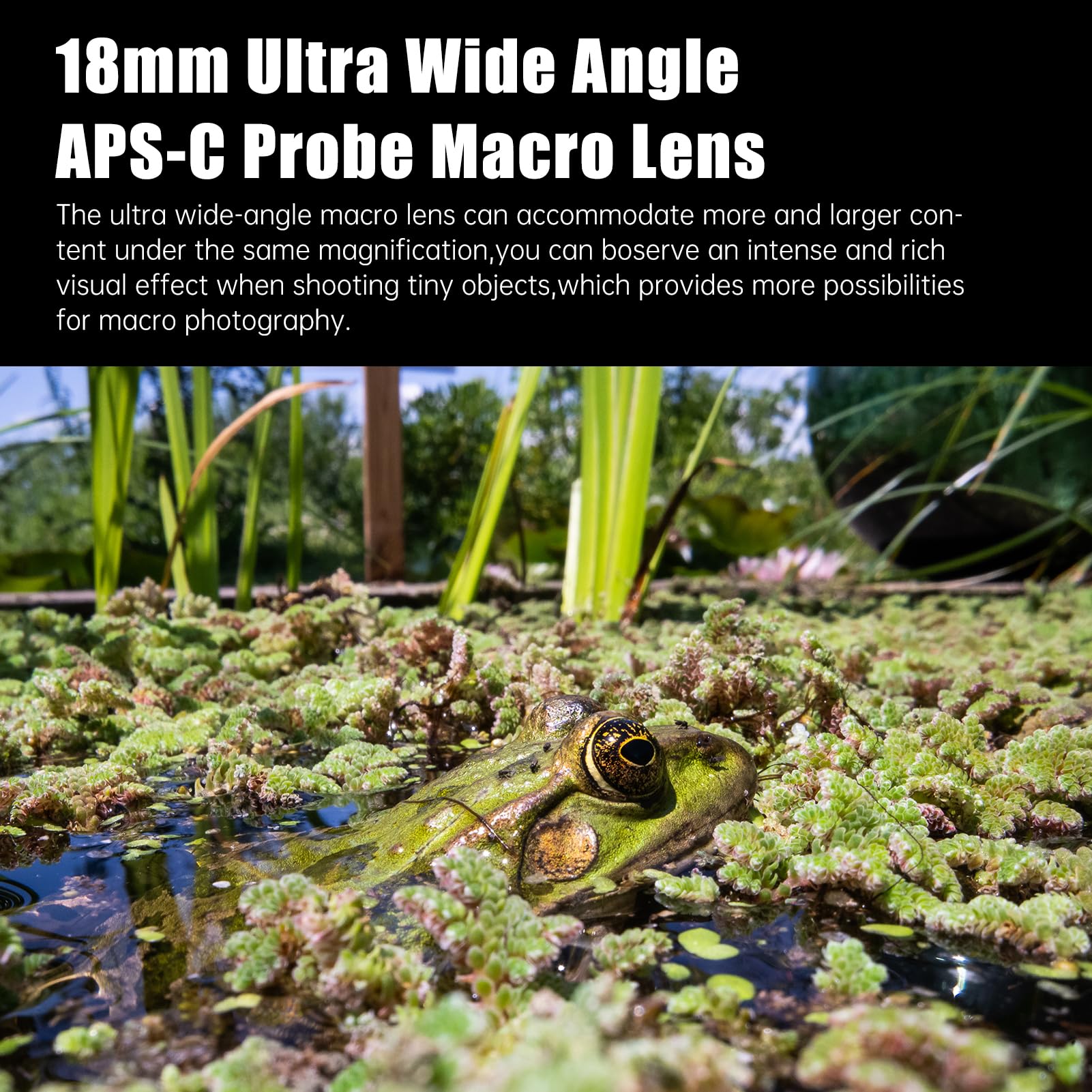 astrhori-18mm-f8-aps-c-makro-sondenobjektiv-sony-e-led image 5