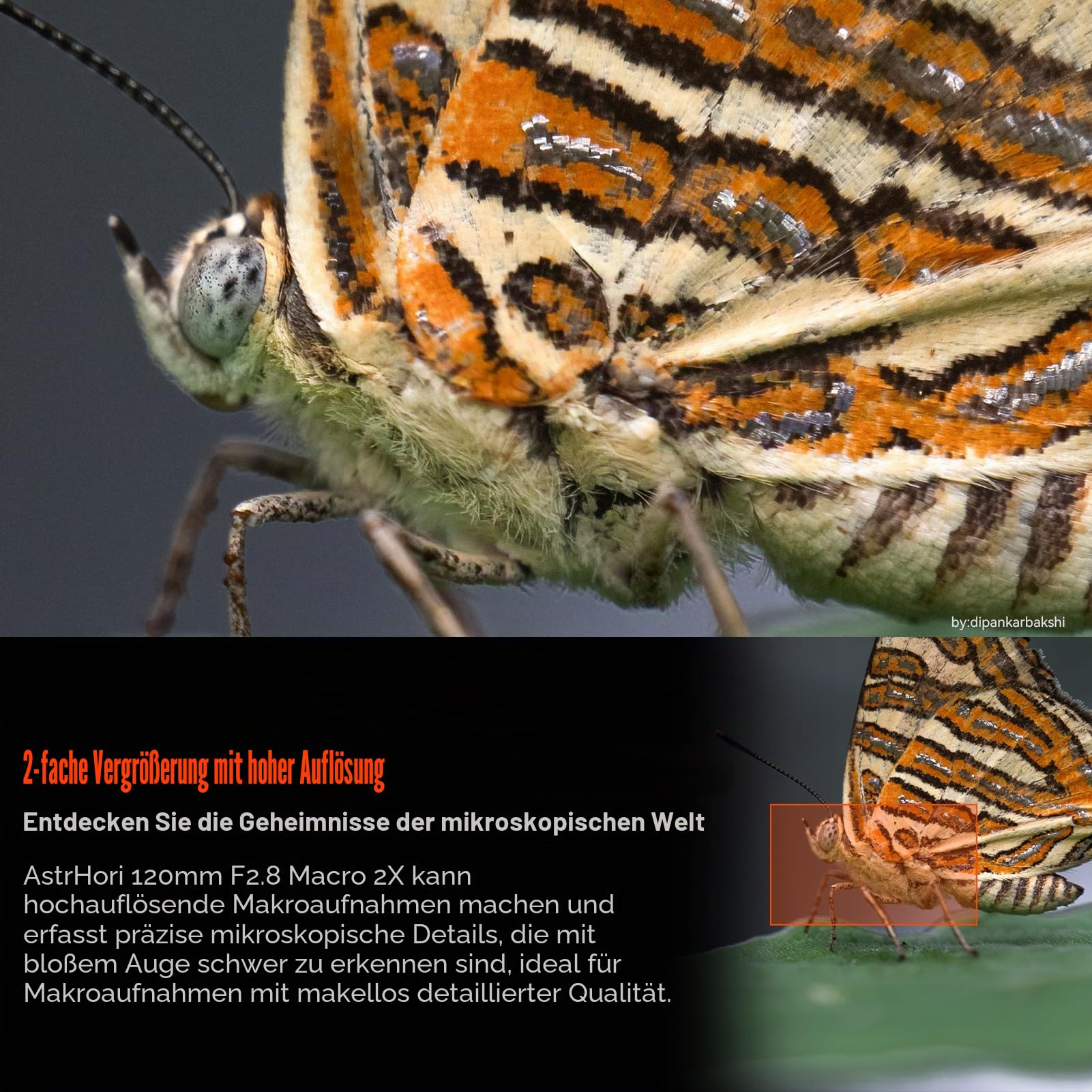 astrhori-120mm-f2-8-2x-makroobjektiv-sony-e-vollformat image 2