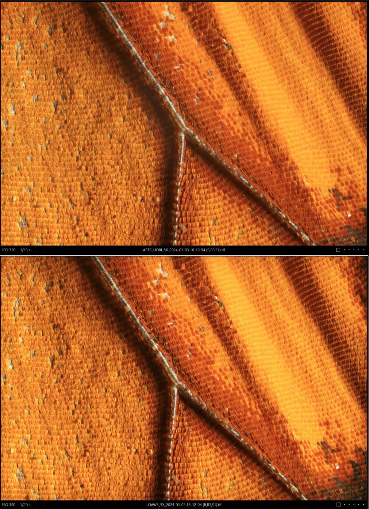 Sauberes Bokeh